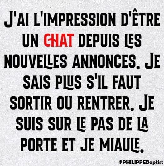 chat.jpg