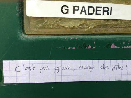 pas de riz.jpg