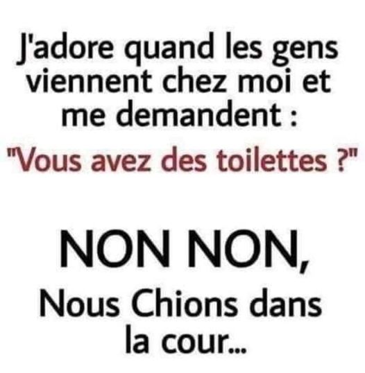 toilettes.jpg