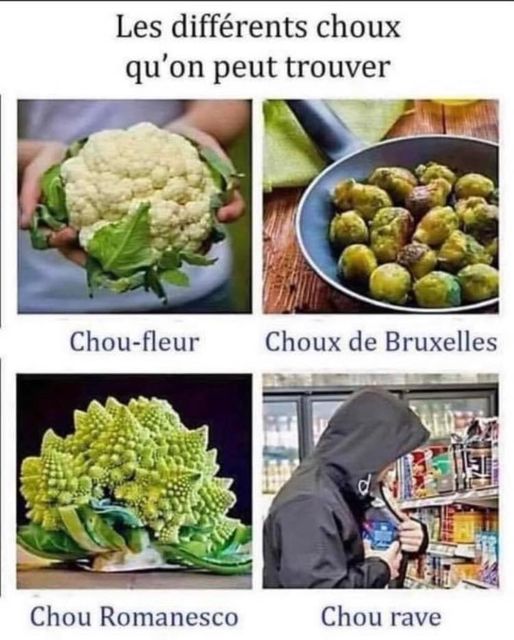 choux.jpg