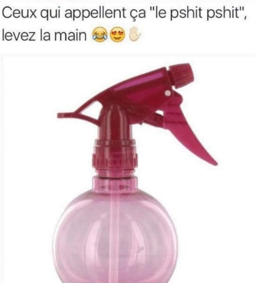 pshit phsit.jpg