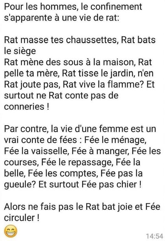 vie de rat.jpg