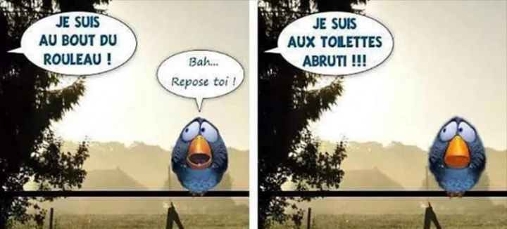 rouleau.jpeg