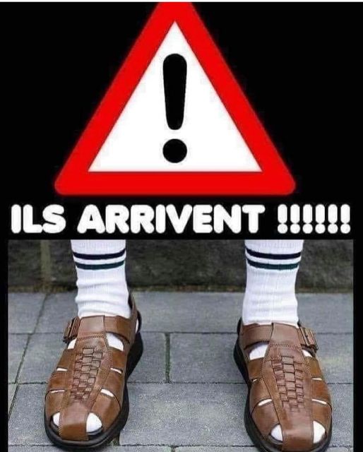 ils arrivent.jpg