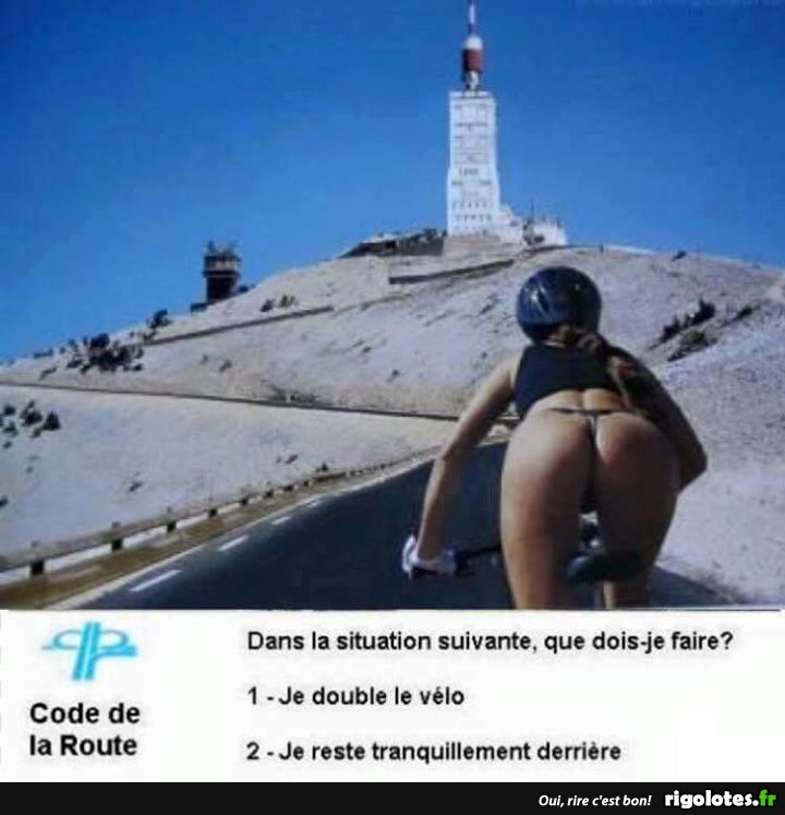 code de la route pour roberto.jpg