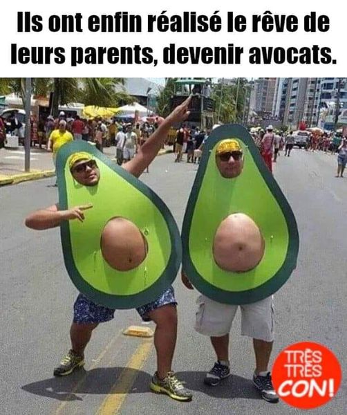 avocat.jpg