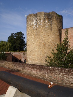 480.JPG