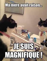 magnifique.jpg