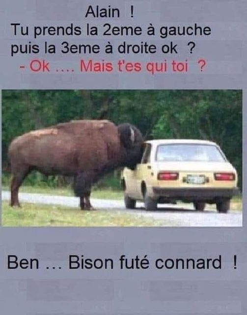 bison futé.jpg