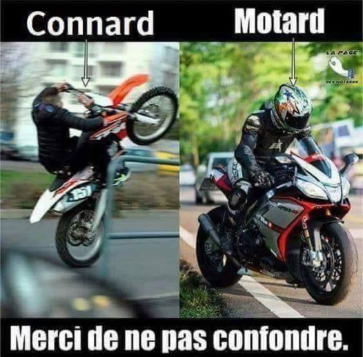 motard.jpg