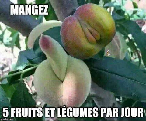 5 fruits légumes.jpg