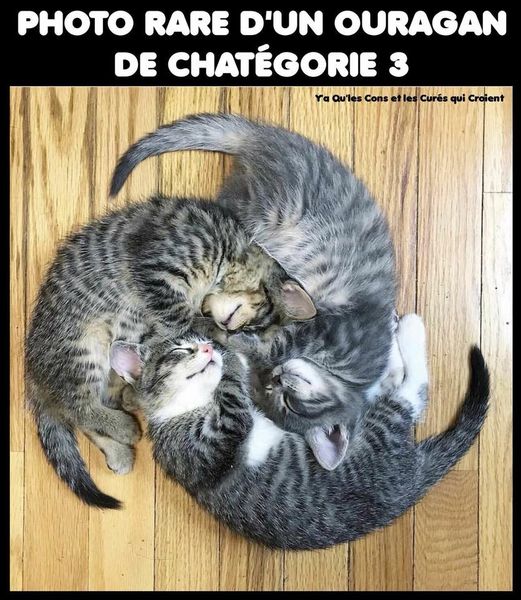 ouragan.jpg