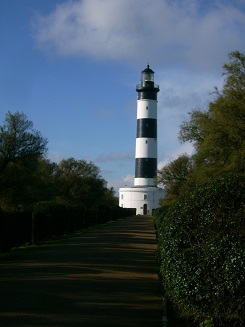 589.JPG
