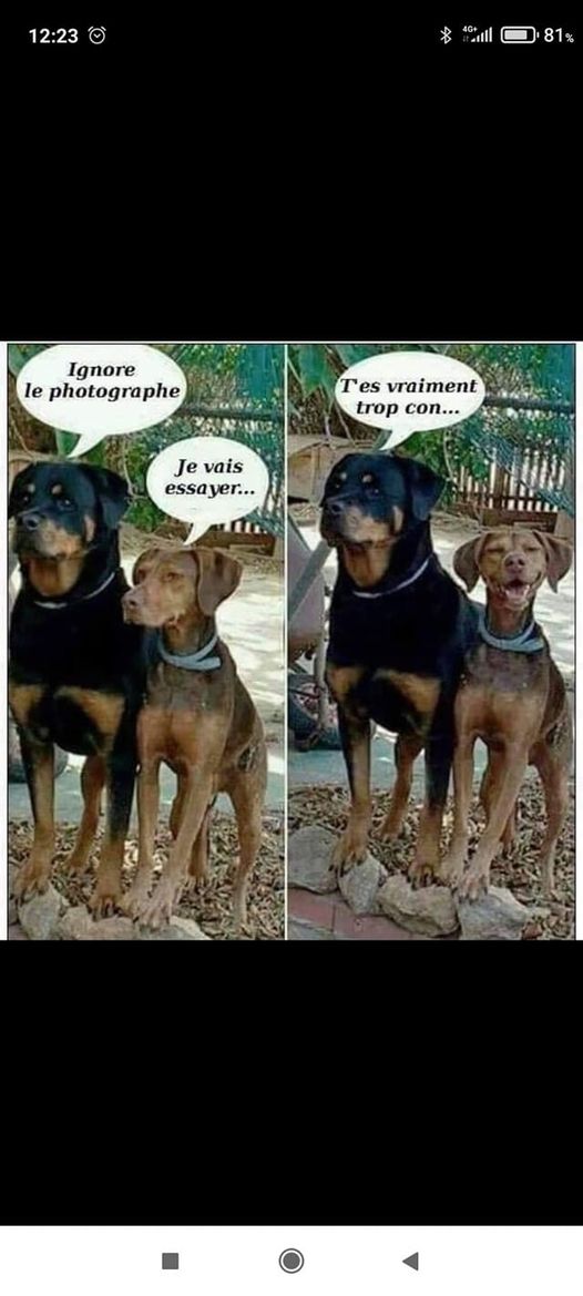 photo.jpg
