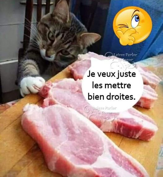 droites.jpg