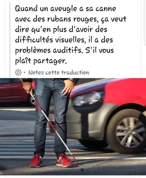 canne blanche.......jpg