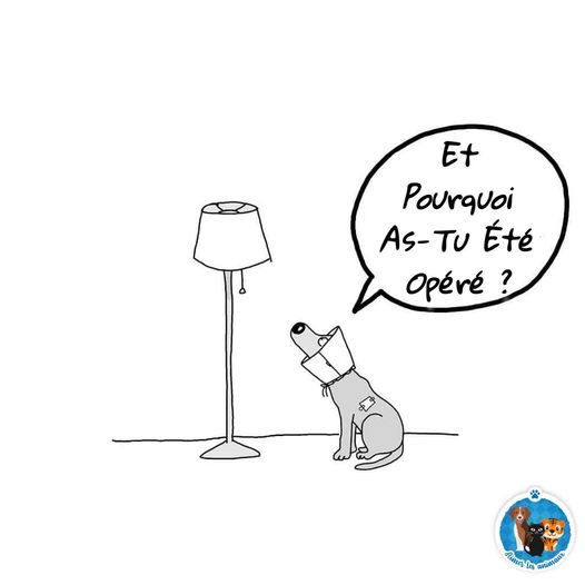 opéré.jpg