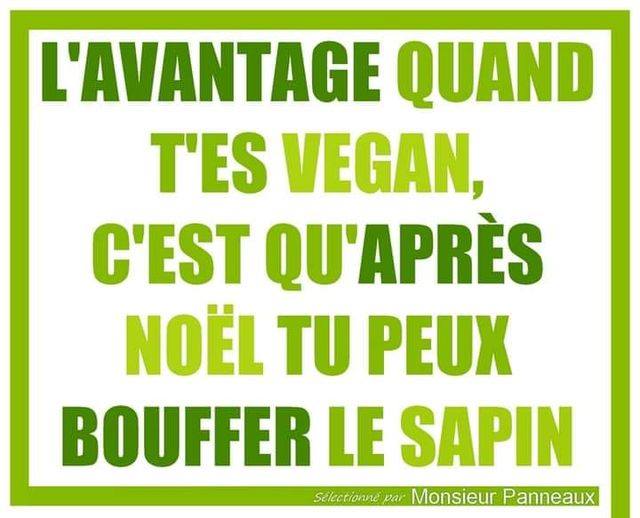 vegan.jpg