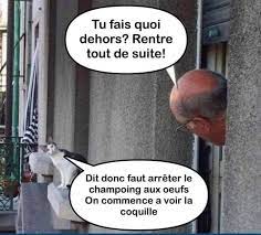 coquille.jpg