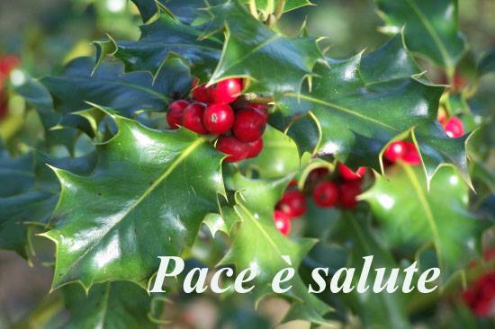 pace salute.jpg