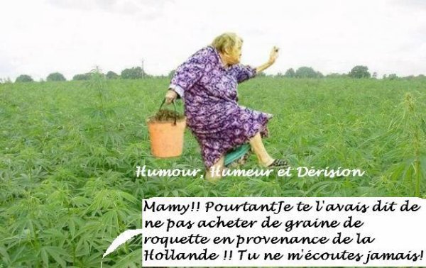 mamy...jpg