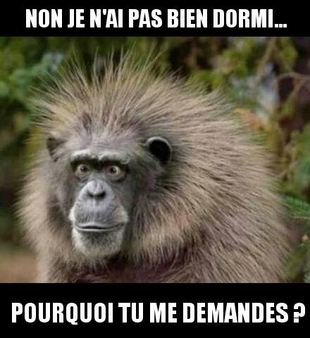 mal dormis.jpg