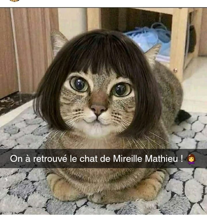 mireille.jpg