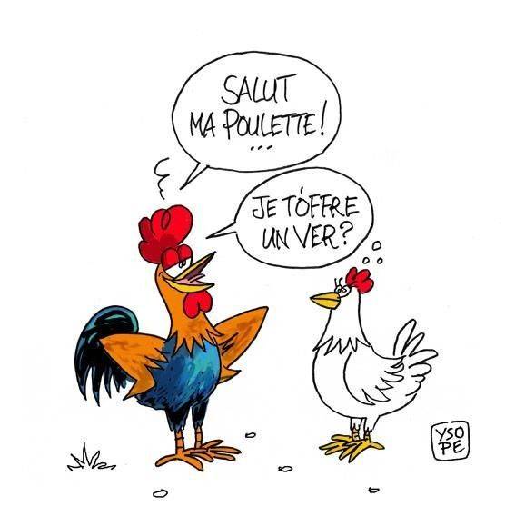poulette.jpg
