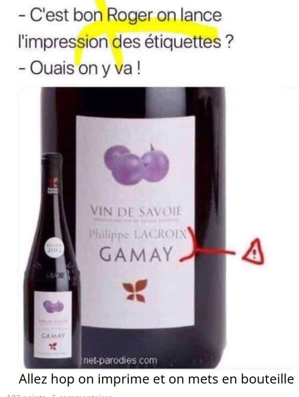 vin.JPG