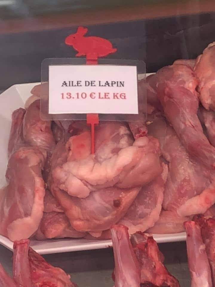 lapin.jpg