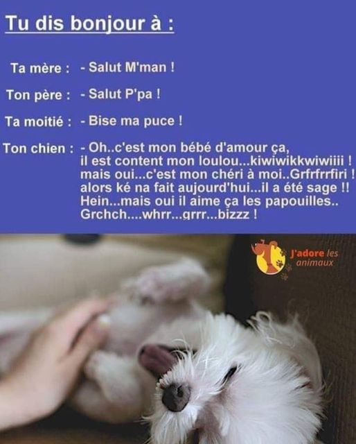bonjour.jpg