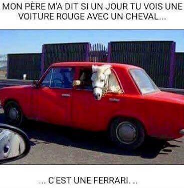 cheval.jpg
