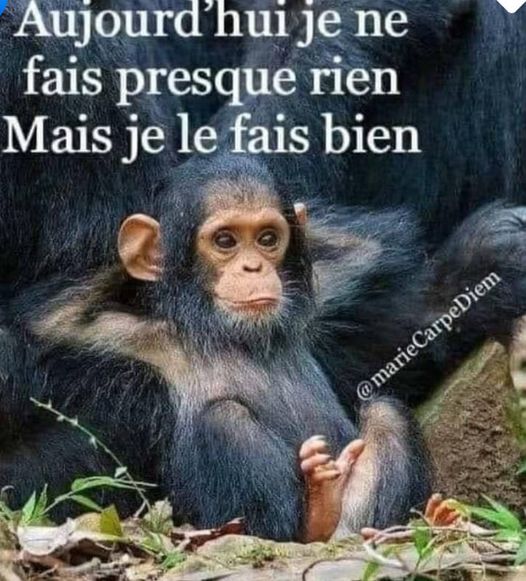 presque rien.jpg