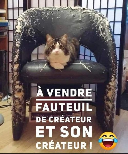 fauteuil.jpg