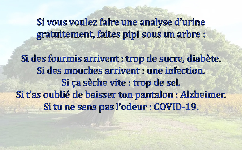 analyse.jpg
