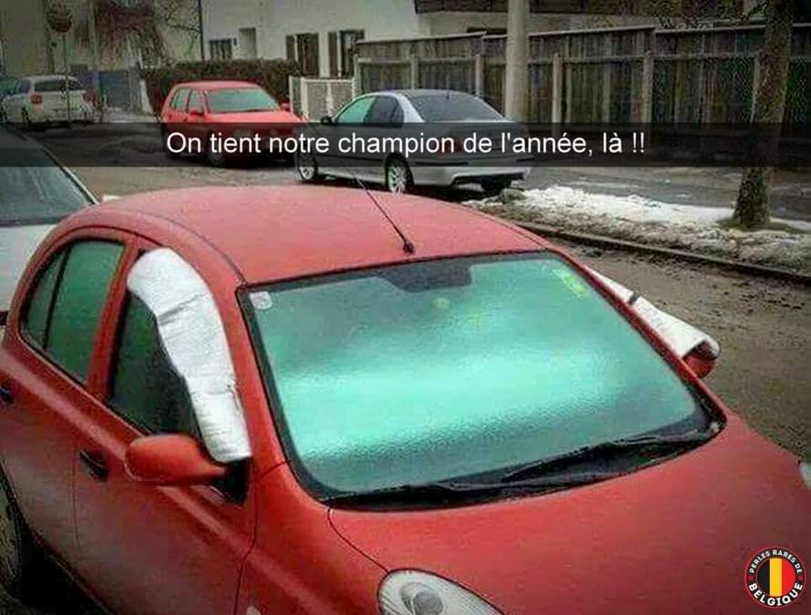 champion.jpg