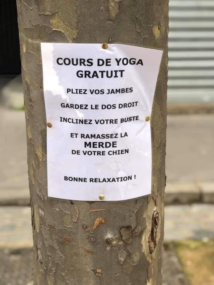 yoga.jpg