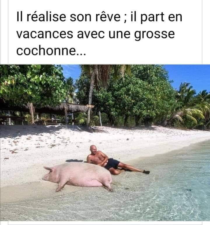 rève.jpg