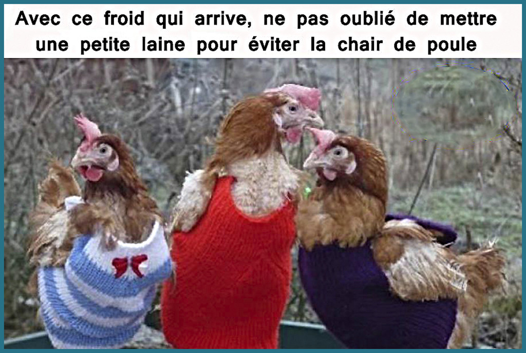 froid.jpg