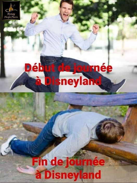 debut et fin journée.jpg