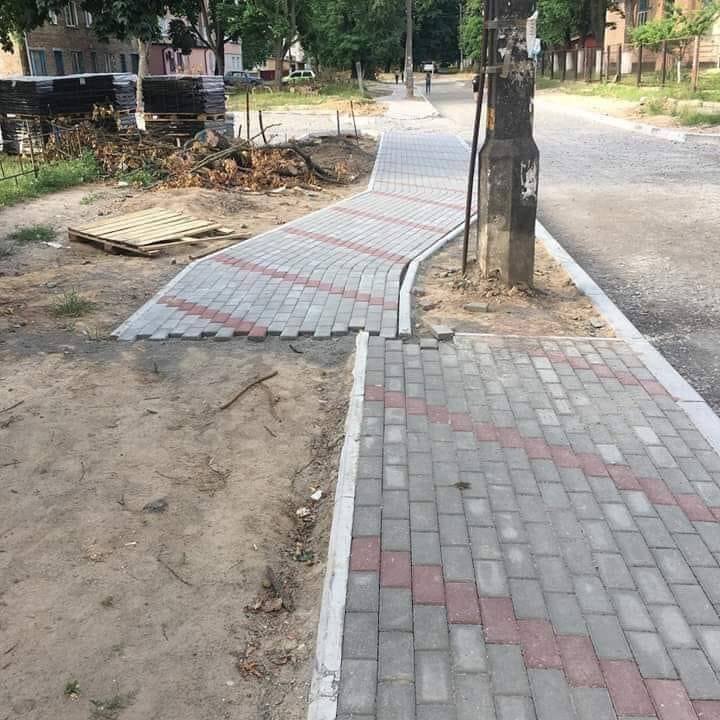 arbre.jpg