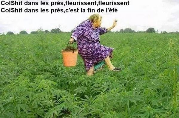 dans les près....jpg
