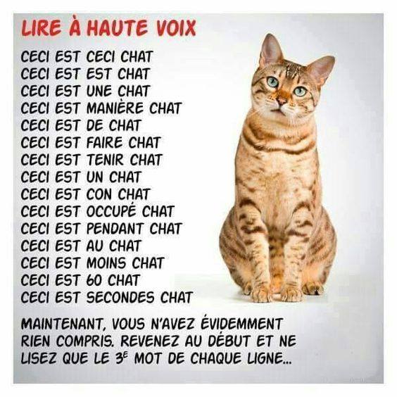 chat mdrr.jpg