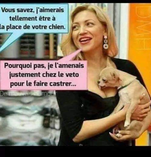 véto.jpg