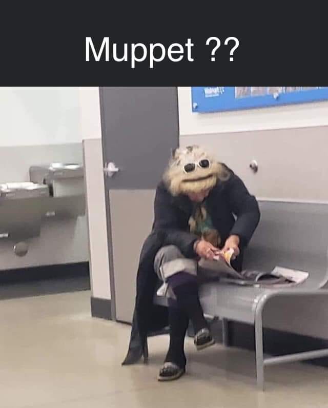 muppet.jpg