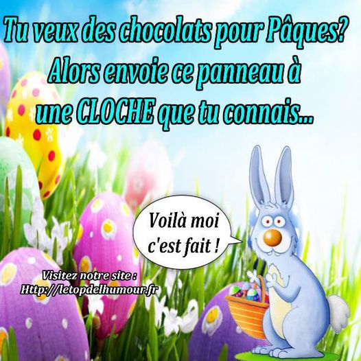 chocolat.jpg