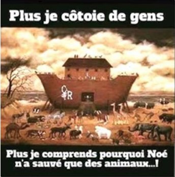 noe.jpg