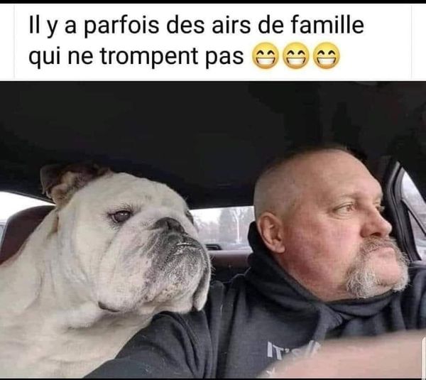air de  famille.jpg