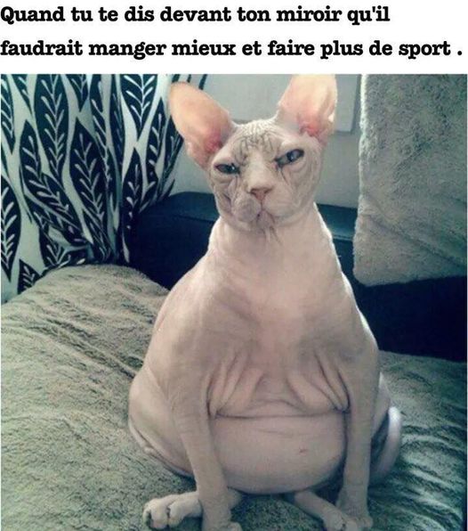 manger.jpg
