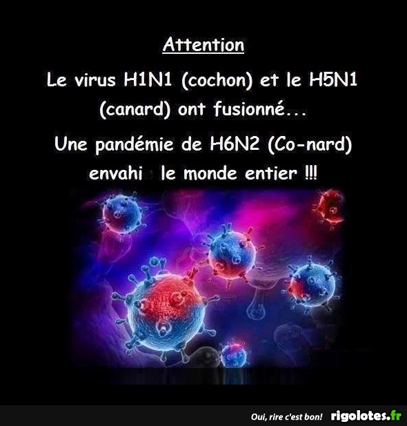 virus.jpg